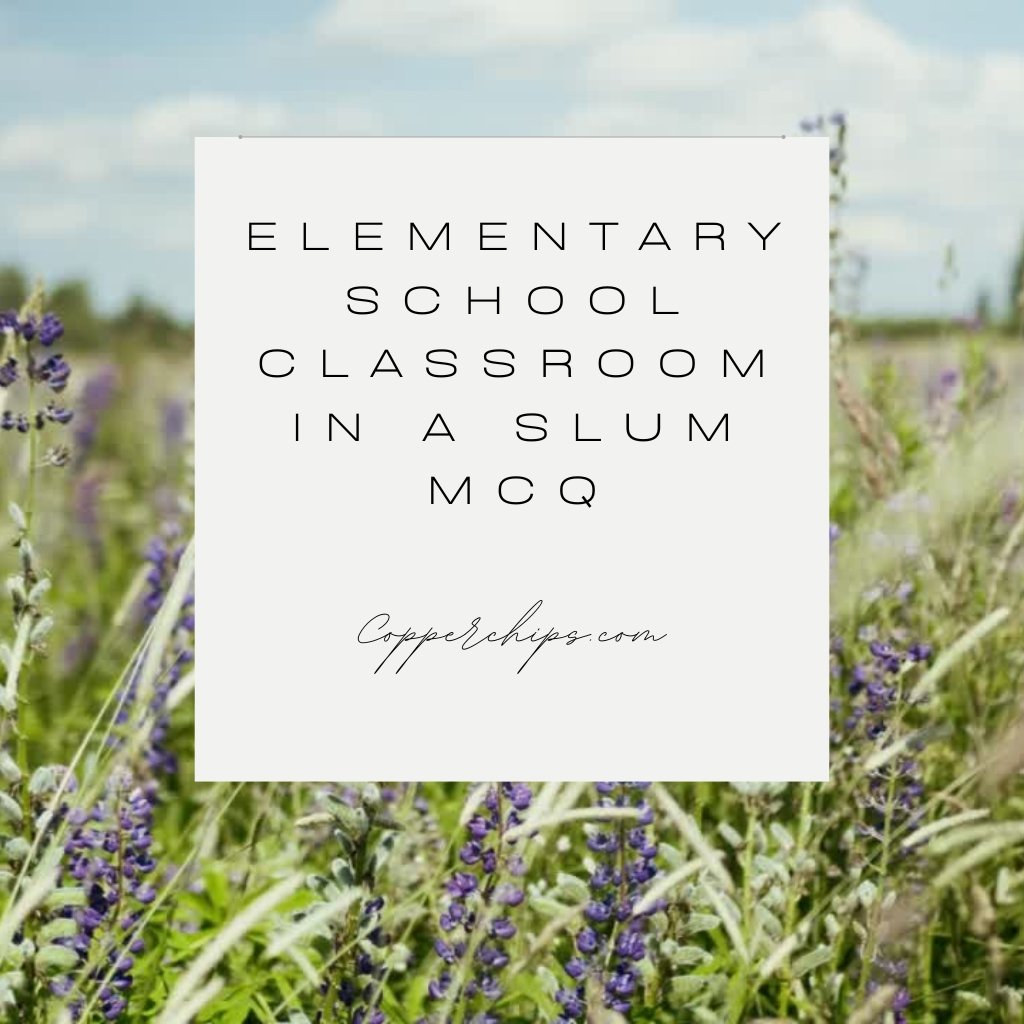 Elementary School Classroom In A Slum Mcq