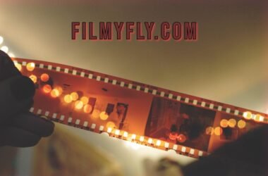 Filmyfly.com
