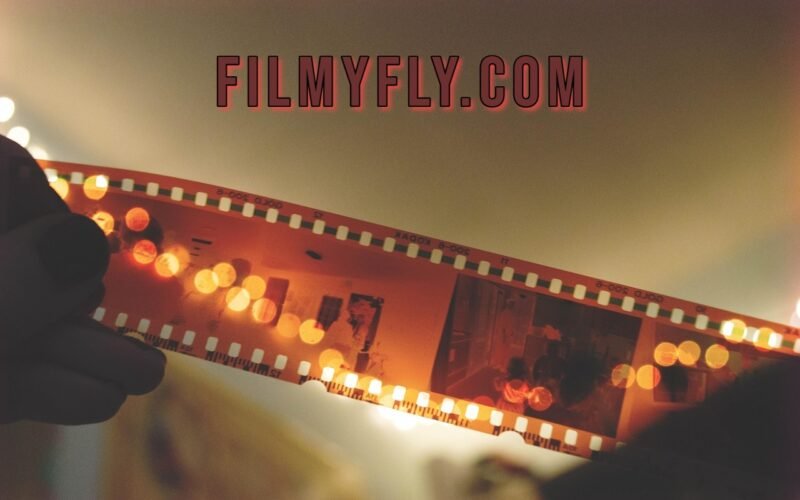 Filmyfly.com movie streaming and downloads
