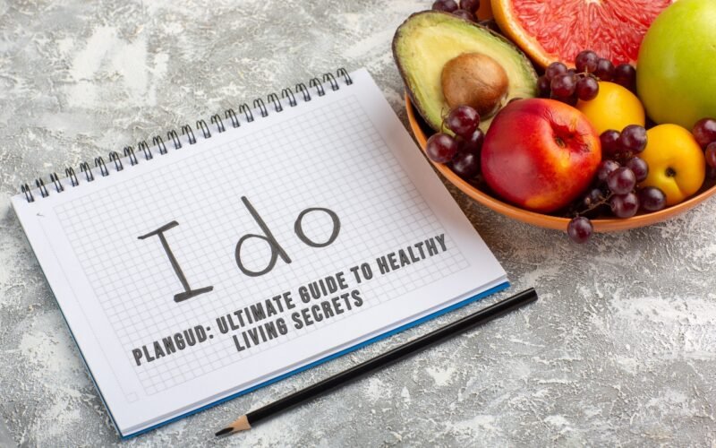 Plangud healthy lifestyle wellness journey