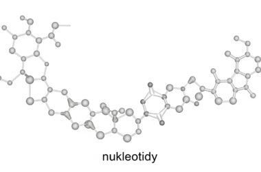 Nukleotidy