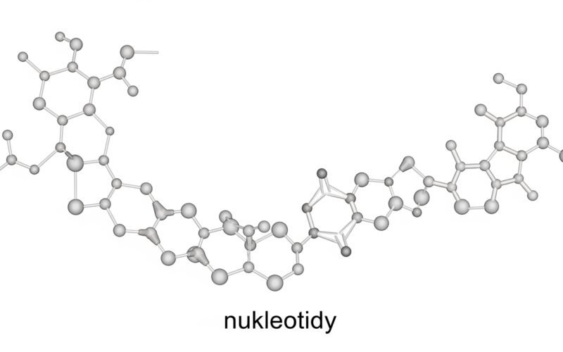 Nukleotidy