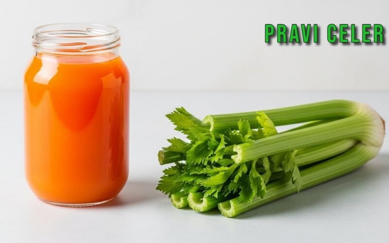 Pravi Celer